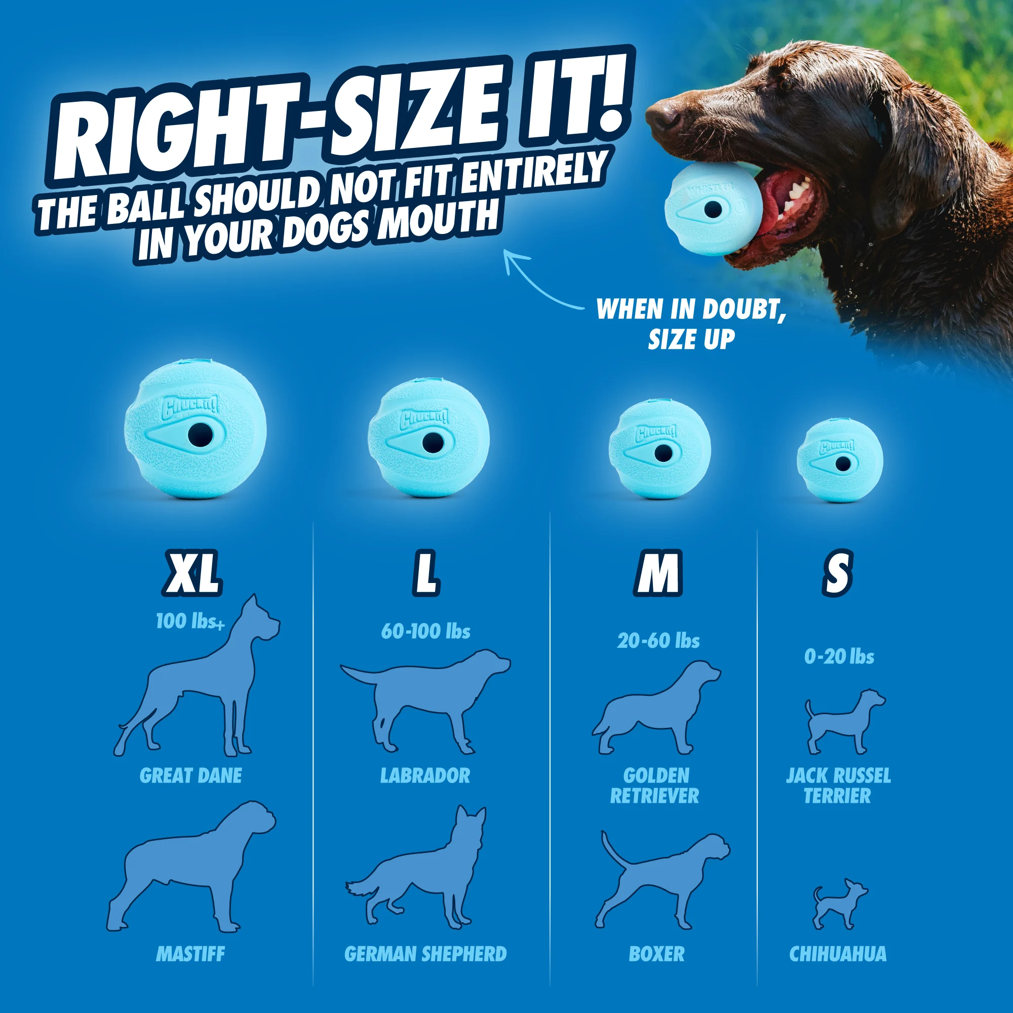 Palla per cani con fischietto S, ø 5 cm, 2 pezzi – Chuckit! The Whistler - immagine 6