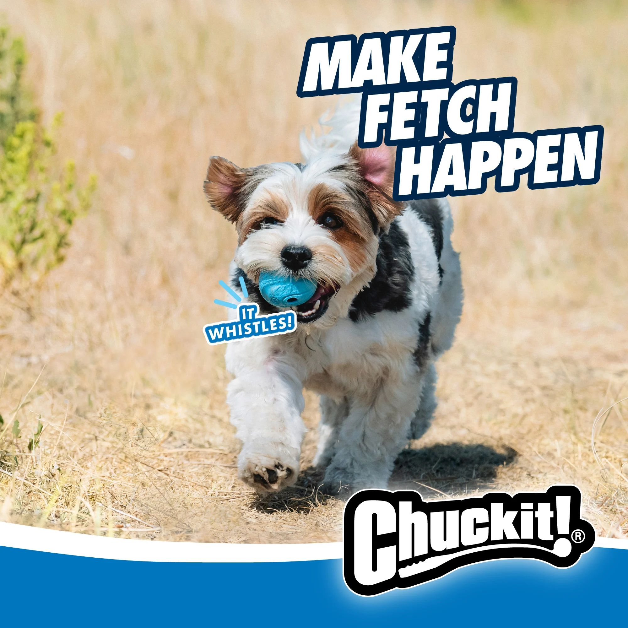 Palla per cani con fischietto M, ø 6 cm, 2 pezzi – Chuckit! The Whistler - immagine 5