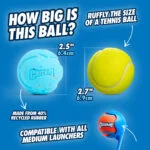 Pallina per cani in gomma riciclata, rimbalzante, 2 pezzi – Chuckit! Rebounce Fetch Ball M - immagine 3