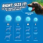Pallina per cani in gomma riciclata, rimbalzante, 2 pezzi – Chuckit! Rebounce Fetch Ball M - immagine 6