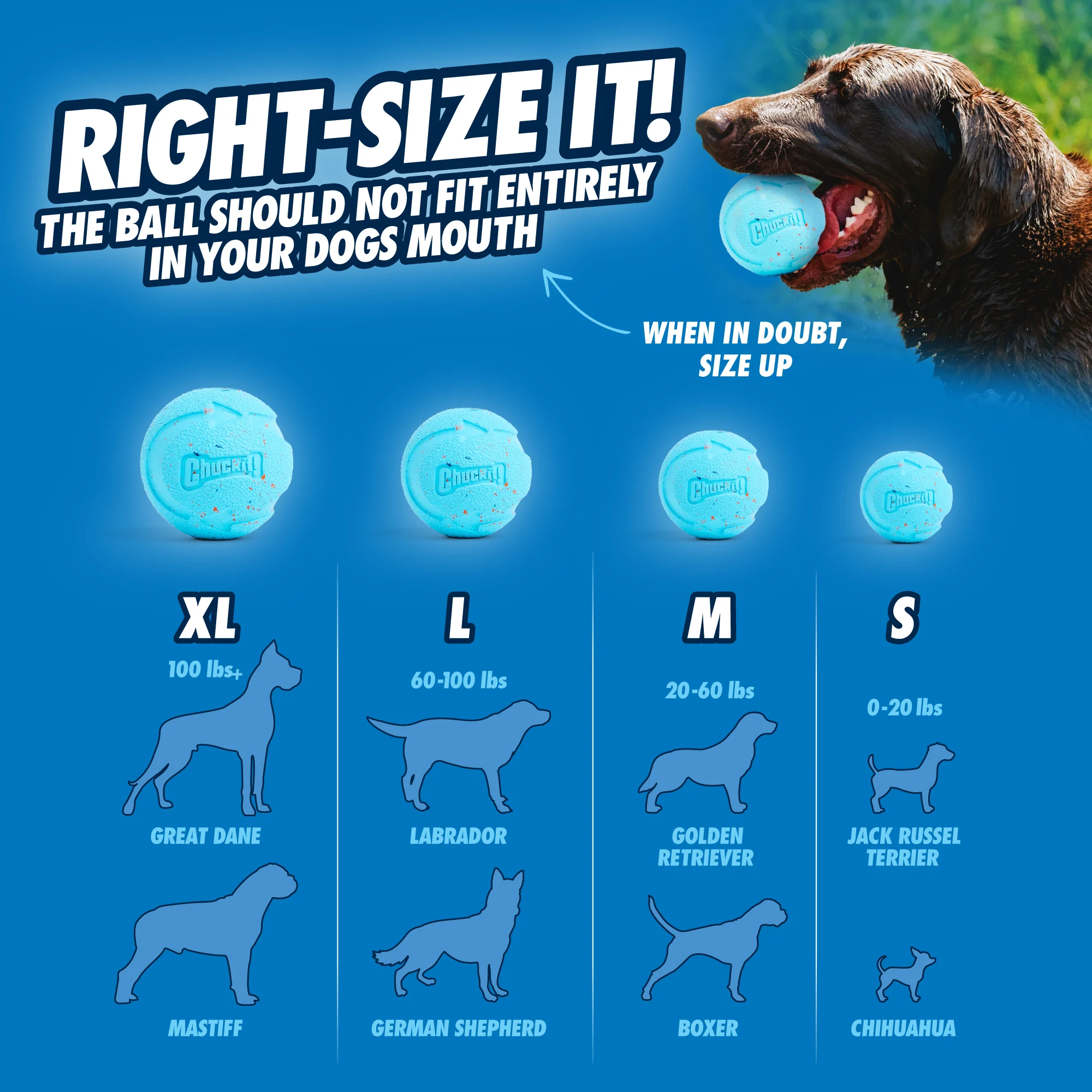 Pallina per cani in gomma riciclata, rimbalzante, 2 pezzi – Chuckit! Rebounce Fetch Ball M - immagine 6