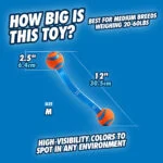 Gioco di tira e molla per cani con pallina da tennis e nastro, ø 6 cm – Chuckit! Ultra Tug M - immagine 3