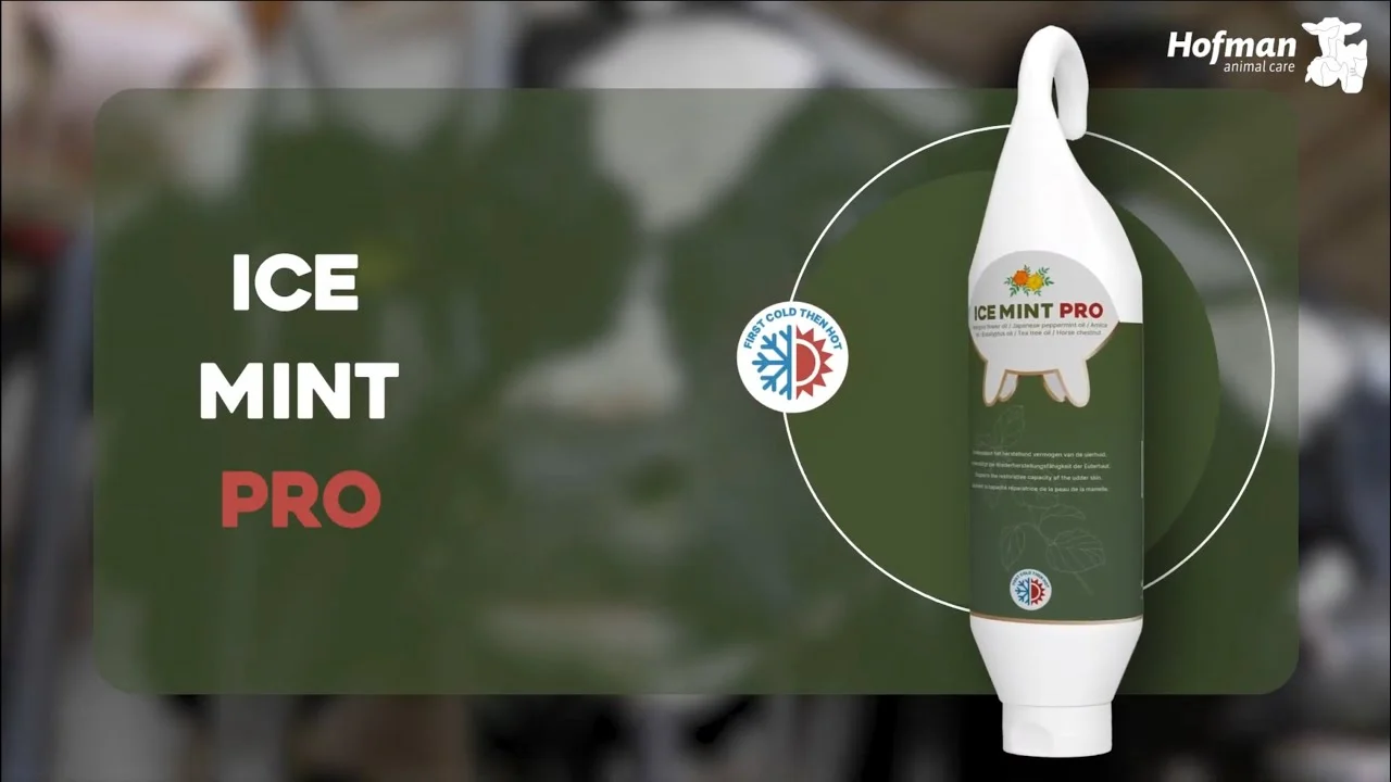 Gel per mammella con calendula in tubo appendibile, 1 l – Vet Animal Care Ice Mint Pro - immagine 2
