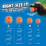 Palla da riporto galleggiante per cani, Ø 7 cm – Chuckit! Air Fetch Ball - immagine 3