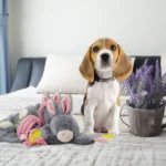 Peluche per cani a forma di coniglio con squeaker per cuccioli – Bunny Puppy Crunchy Chew - immagine 3
