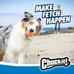Lanciallina con pallina, 45 cm – Chuckit! Junior Ball Launcher - immagine 6