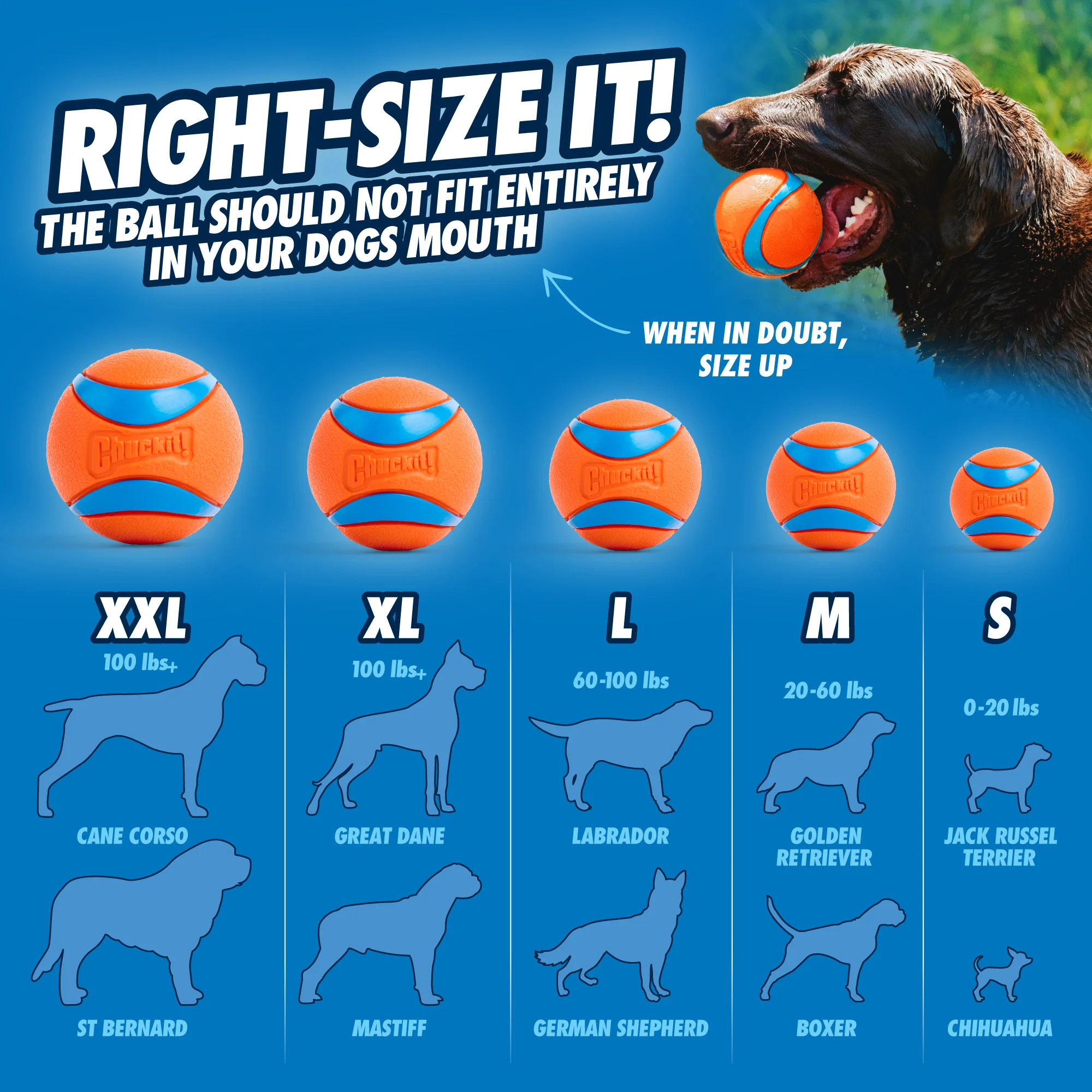 Lanciallaper cani con pallina da tennis, 66 cm – Chuckit! Sport Launcher L - immagine 6
