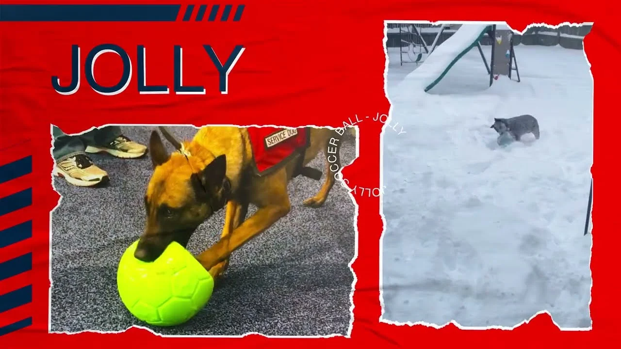 Palla da riporto per cani azzurra, 20 cm – Jolly Pets Jolly Soccer Ball - immagine 4