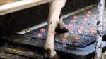 Tappeto per la nebulizzazione degli zoccoli con irrigazione automatica – Vink - immagine 6