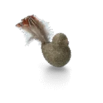 Uccellino gioco per gatti con piume e MADNIP – Addicted! Bird with Feathers - immagine 2