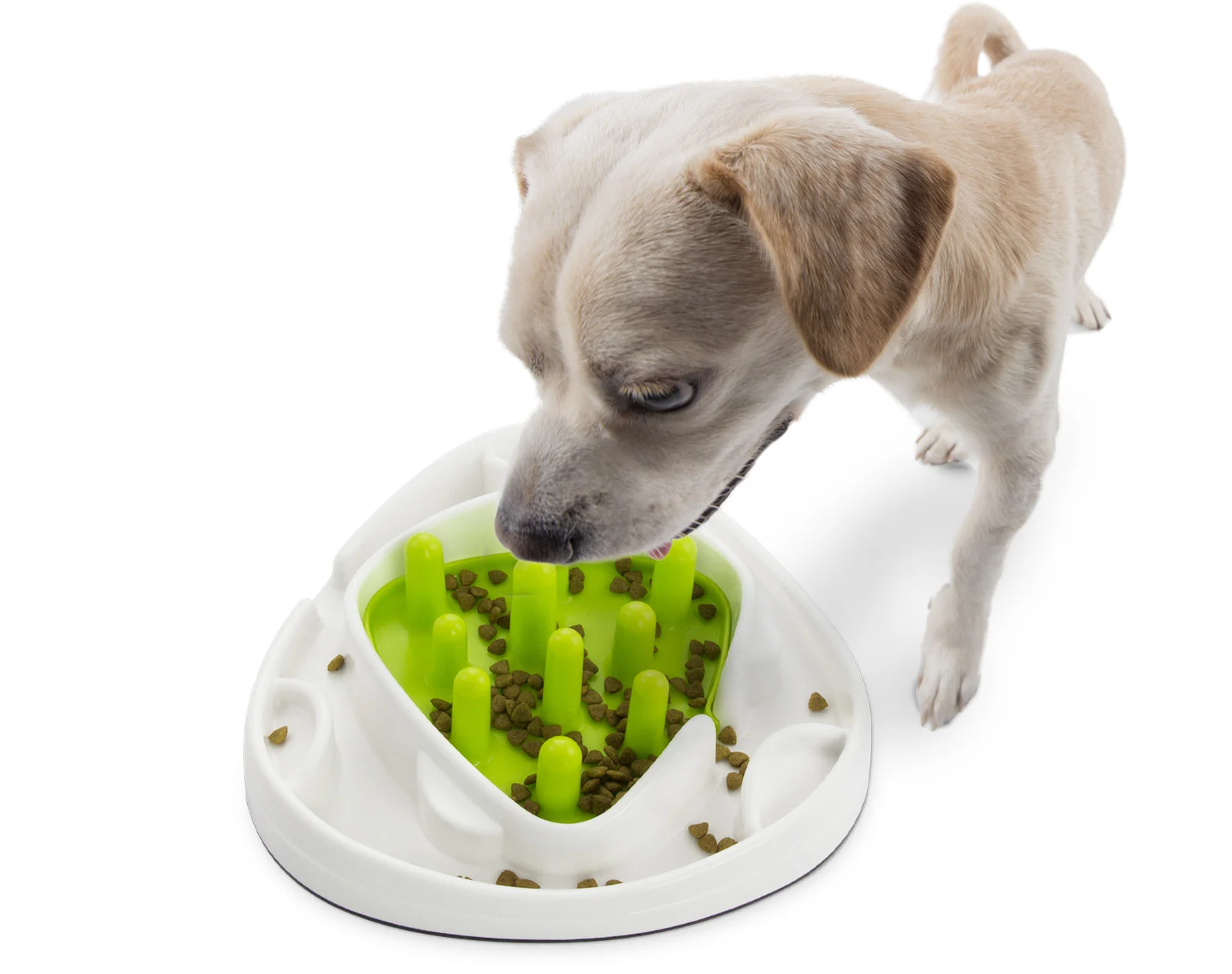 Labirinto per il Cibo per Cani con 2 Varianti – AFP Interactives - Food Maze - immagine 5