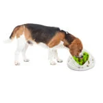Labirinto per il Cibo per Cani con 2 Varianti – AFP Interactives - Food Maze - immagine 2