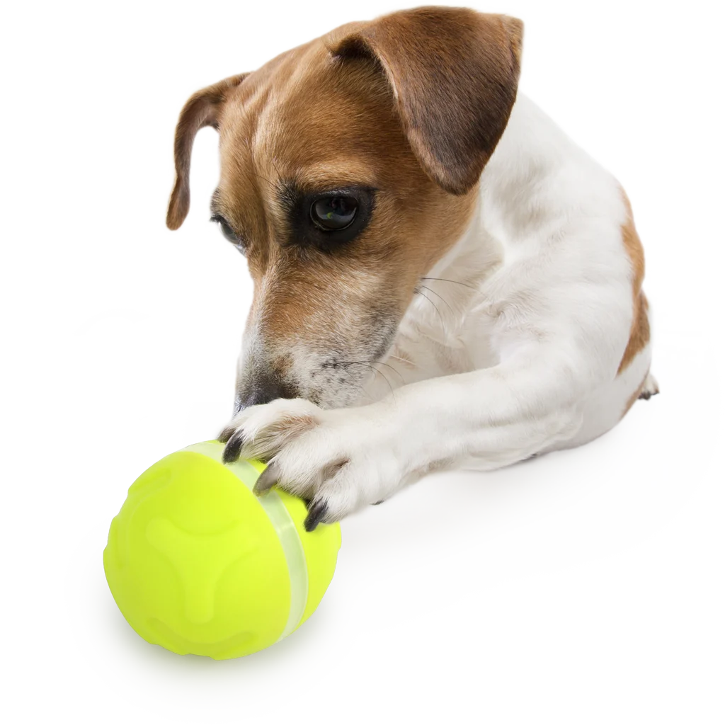 Dispenser di premi per cani con telecomando a forma di pallina – AFP Interactives - Lucky Treat with Rolling Ball - immagine 5