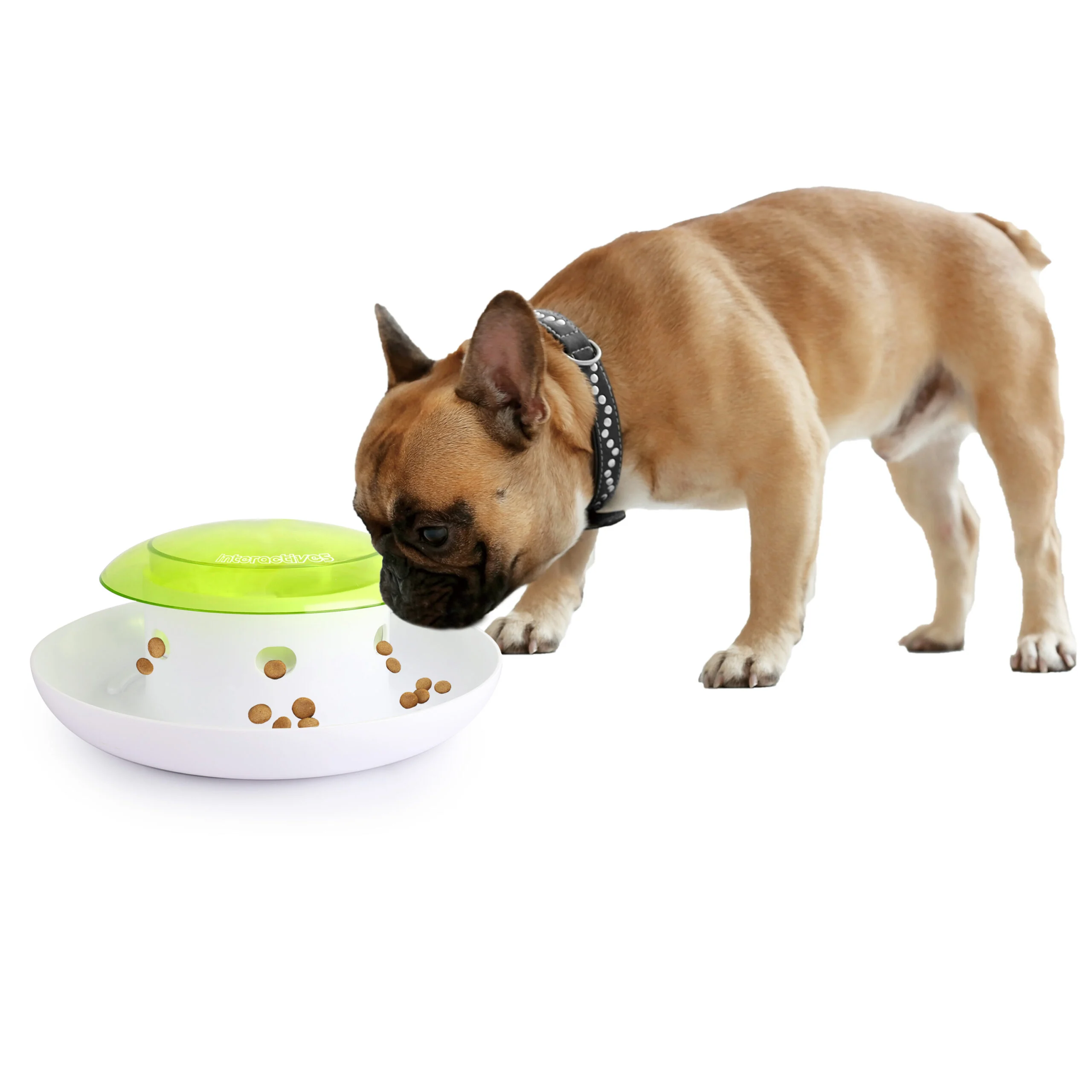 Dispenser per il Cibo per Cani con Pulsante e Vaschetta di Raccolta – AFP Interactives Push 4 Meal Dispener - immagine 4