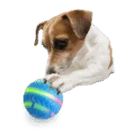 Palla luminosa per cani con movimento, ricaricabile via USB – AFP Interactives Motion Activated Action Ball - immagine 4