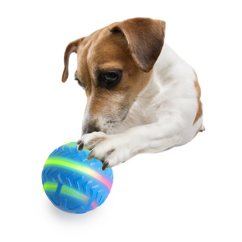 Palla luminosa per cani con movimento, ricaricabile via USB – AFP Interactives Motion Activated Action Ball - immagine 4