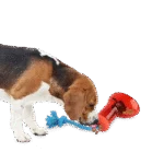 Dispenser di cibo per cani a forma di stivale con corda, 14 x 14 cm – AFP Doggies' Shoes Big Boot Dispenser L - immagine 5