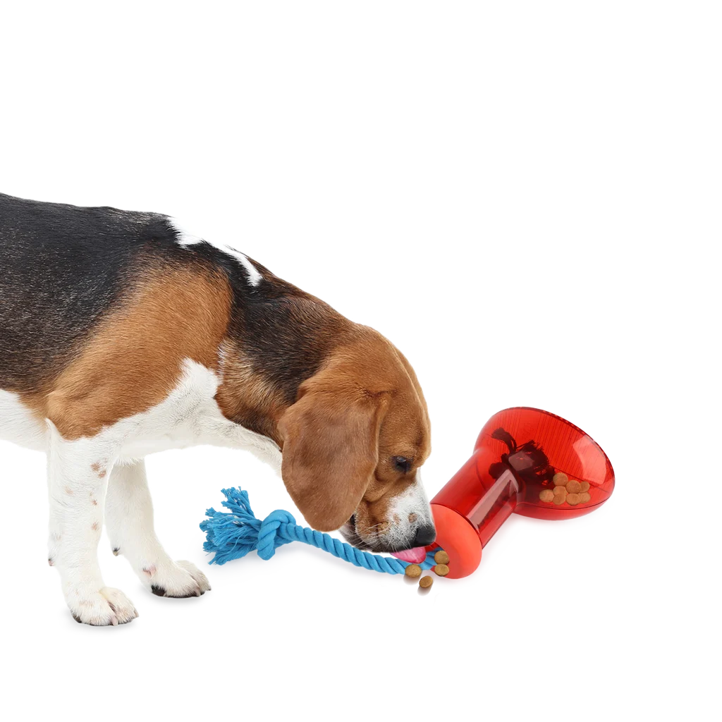 Dispenser di cibo per cani a forma di stivale con corda, 14 x 14 cm – AFP Doggies' Shoes Big Boot Dispenser L - immagine 5