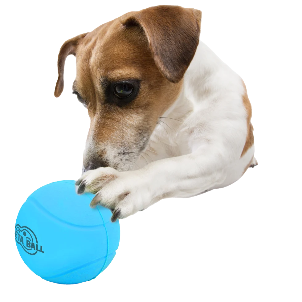 Palla in gomma per cani con sonaglio, ø 6,3 cm – AFP Meta Ball Bounce & Rattle Ball - immagine 3
