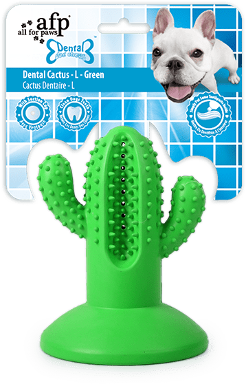 Gioco da masticare a forma di cactus in gomma con ventosa, L, verde – AFP Dental Chews - Dental Cactus