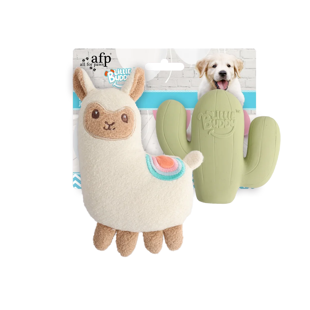 Set di giocattoli per cuccioli con peluche e squeaker, 2 pezzi – AFP Little Buddy 2-Pack Toy Fiesta - immagine 1