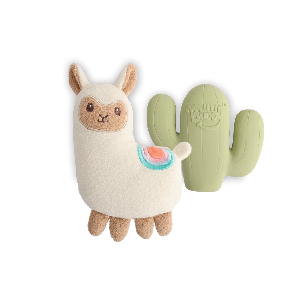 Set di giocattoli per cuccioli con peluche e squeaker, 2 pezzi – AFP Little Buddy 2-Pack Toy Fiesta - immagine 2