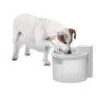 Fontanella per cani, senza fili con sensore di movimento, 2,5 l – AFP Lifestyle 4 Pets Wireless Fountain - immagine 2