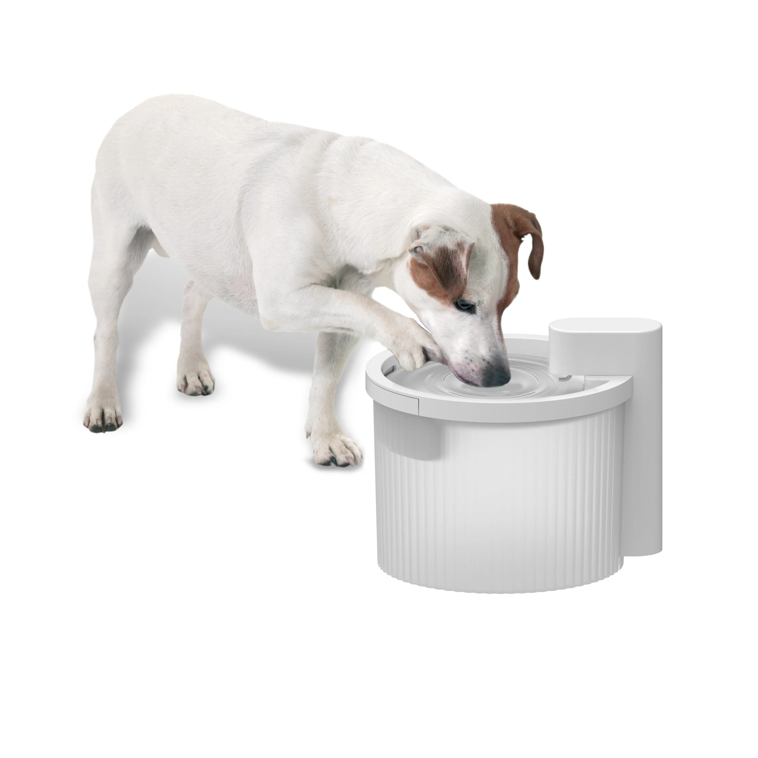 Fontanella per cani, senza fili con sensore di movimento, 2,5 l – AFP Lifestyle 4 Pets Wireless Fountain - immagine 2