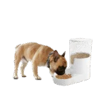Dispenser automatico di cibo per cani con serbatoio, 3 l – AFP Lifestyle 4 Pets Gravity Pet Food Feeder - immagine 2