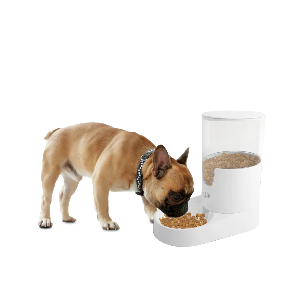 Dispenser automatico di cibo per cani con serbatoio, 3 l – AFP Lifestyle 4 Pets Gravity Pet Food Feeder - immagine 2