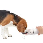 Borraccia per cani con ciotola per l’acqua e contenitore per snack, 414 ml – AFP 2 In 1 Stainless Drinking Bottle - immagine 5