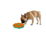 Tappetino leccabile per cani con ventose e fissaggio al kennel – AFP Calming Pals Lick-A-Disk - immagine 5