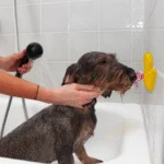 Paperella da bagno per cani con ventosa e puntini in silicone, 13 x 10 cm – AFP Calm Paws - Bath Anti-anxiety Duck - immagine 2