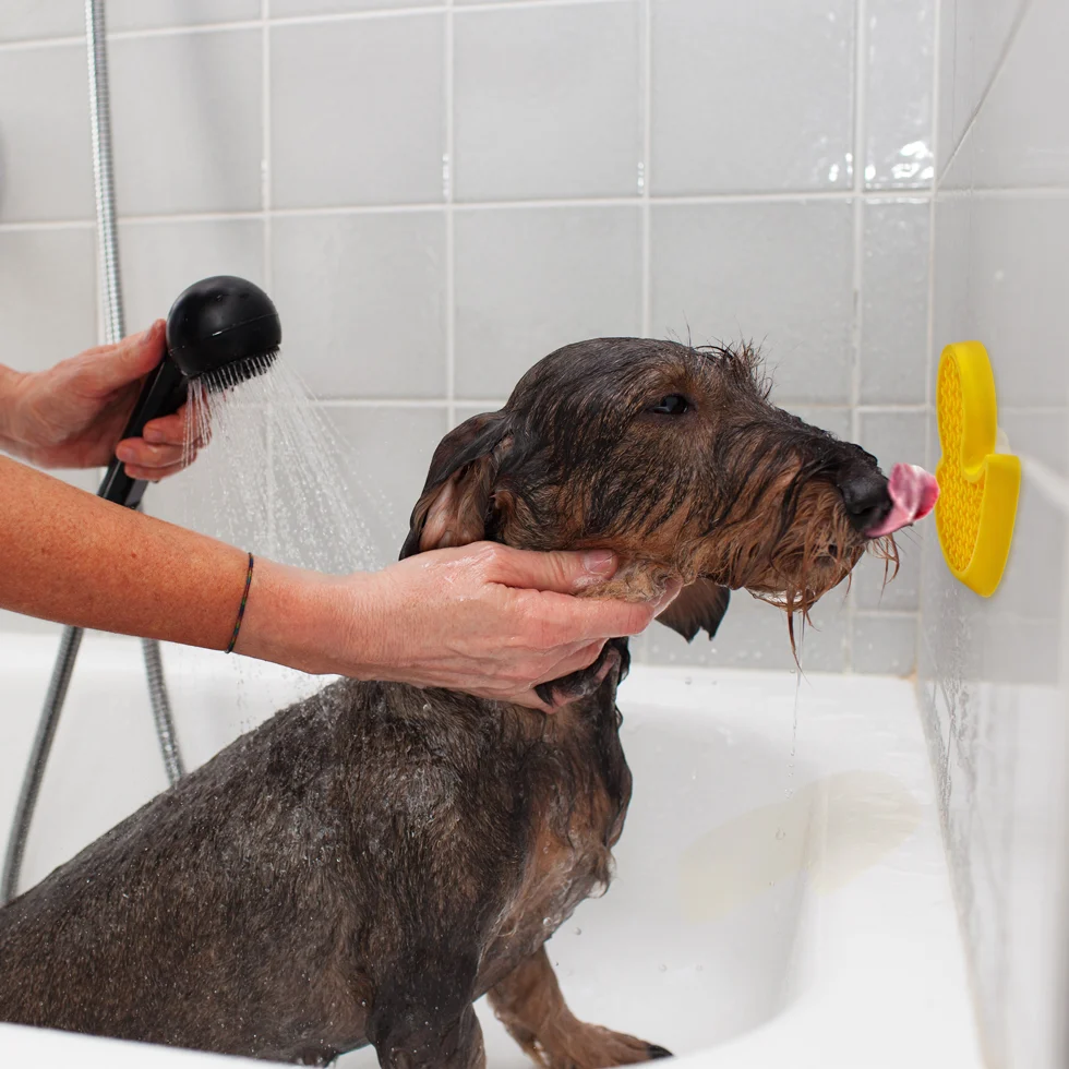 Paperella da bagno per cani con ventosa e puntini in silicone, 13 x 10 cm – AFP Calm Paws - Bath Anti-anxiety Duck - immagine 2
