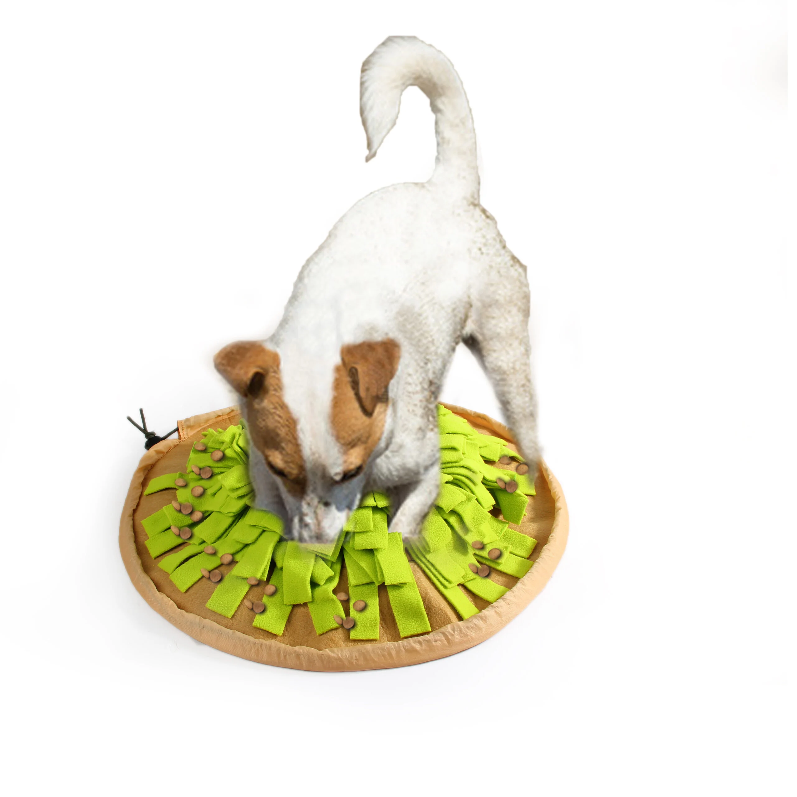 Tappetino olfattivo pieghevole per cani, ø 50 cm – AFP Dig It - Foldable Treat Mat - immagine 5