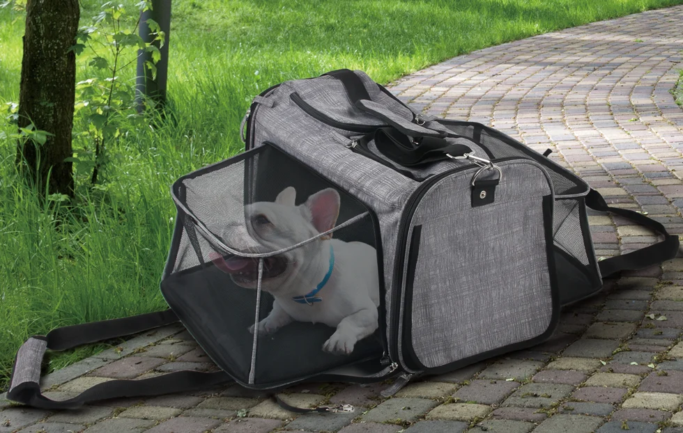 Trolley per cani con funzione di trasporto a mano, fino a 11 kg – AFP Travel Dog - Rolling Pet Carrier - immagine 2