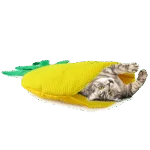 Tappetino gioco per gatti a forma di ananas con erba gatta – AFP Green Rush - Play Mat Ananas - immagine 2