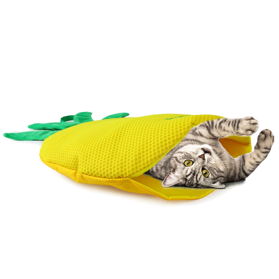 Tappetino gioco per gatti a forma di ananas con erba gatta – AFP Green Rush - Play Mat Ananas - immagine 2