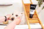 Shampoo per cani con pelo bianco e chiaro, 250 ml – Animology White Wash - immagine 2