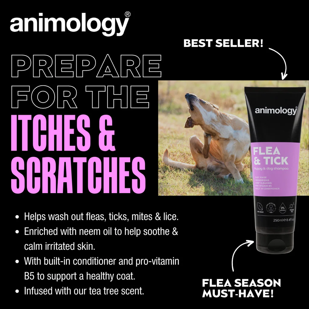 Shampoo per cani per lavare via pulci e zecche, 250 ml – Animology Flea & Tick - immagine 2