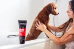 Shampoo delicato per cani con balsamo, 250 ml – Animology Dogs Body - immagine 3