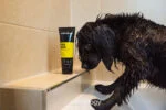 Shampoo per cani contro i cattivi odori, 250 ml – Animology Fox Poo - immagine 3