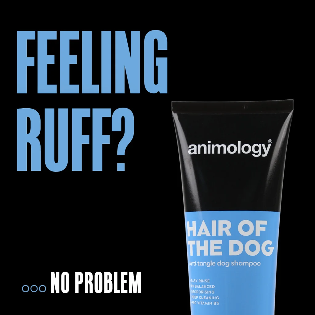 Shampoo districante per cani con balsamo, 250 ml – Animology Hair Of The Dog Anti-Tangle - immagine 2