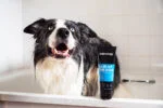 Shampoo districante per cani con balsamo, 250 ml – Animology Hair Of The Dog Anti-Tangle - immagine 3