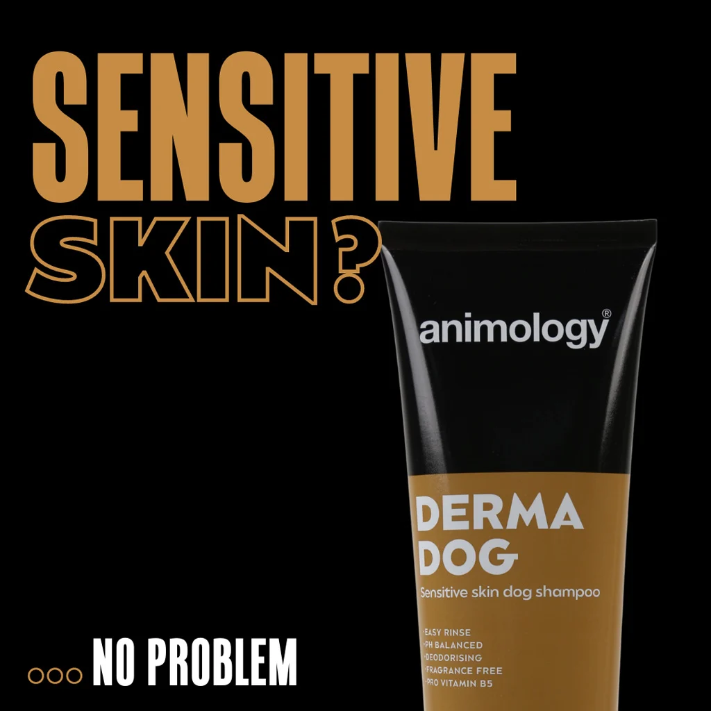 Shampoo per cani con pelle sensibile, 250 ml – Animology Derma Dog Sensitive Skin - immagine 2