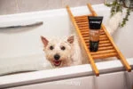 Shampoo per cani con pelle sensibile, 250 ml – Animology Derma Dog Sensitive Skin - immagine 3