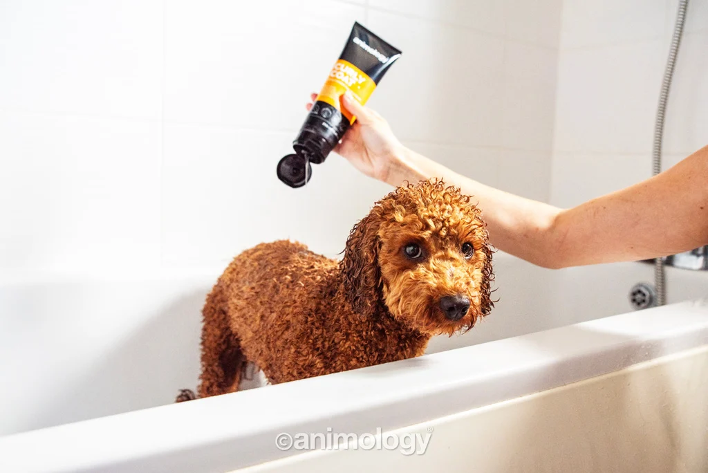 Shampoo per cani con pelo riccio, 250 ml – Animology Curly Coat - immagine 2