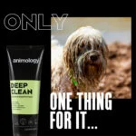 Shampoo per cani per una pulizia profonda, 250 ml – Animology Deep Clean Intensive - immagine 2