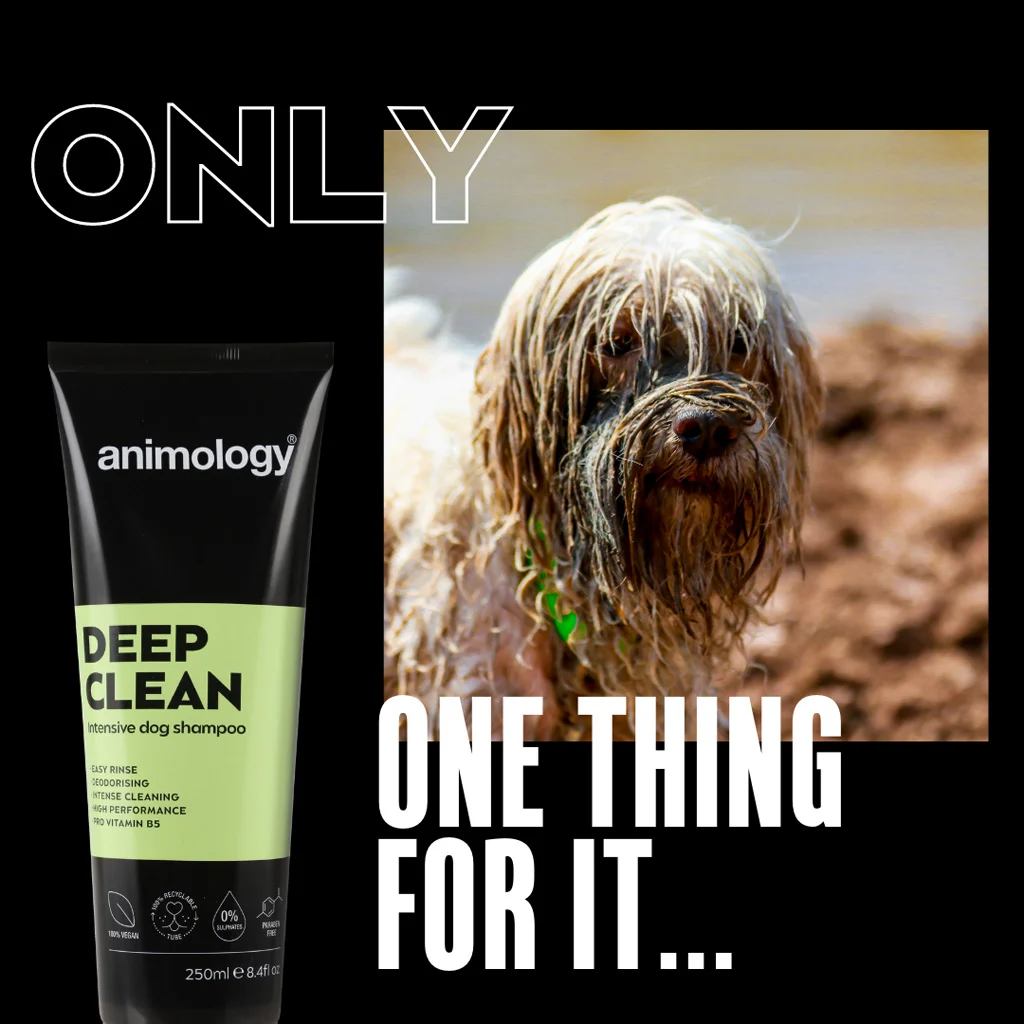 Shampoo per cani per una pulizia profonda, 250 ml – Animology Deep Clean Intensive - immagine 2