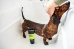 Shampoo per cani per una pulizia profonda, 250 ml – Animology Deep Clean Intensive - immagine 4